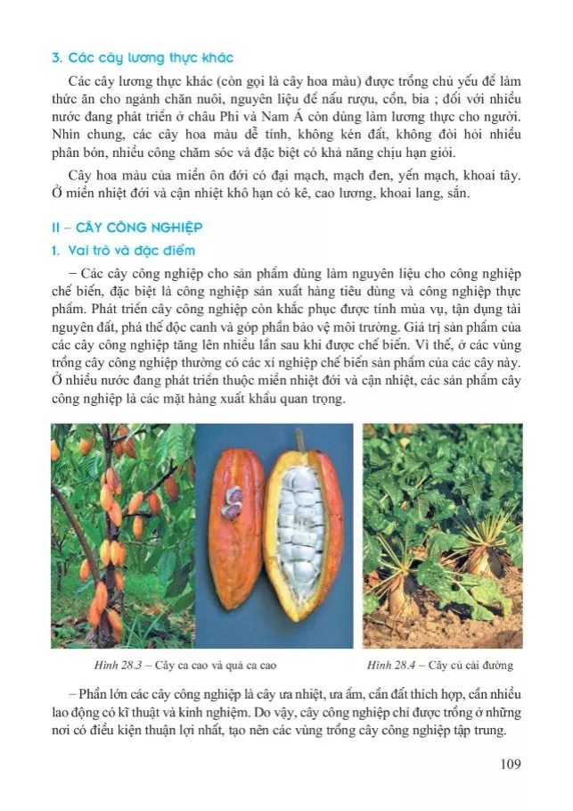 Bài 28. Địa lí ngành trồng trọt