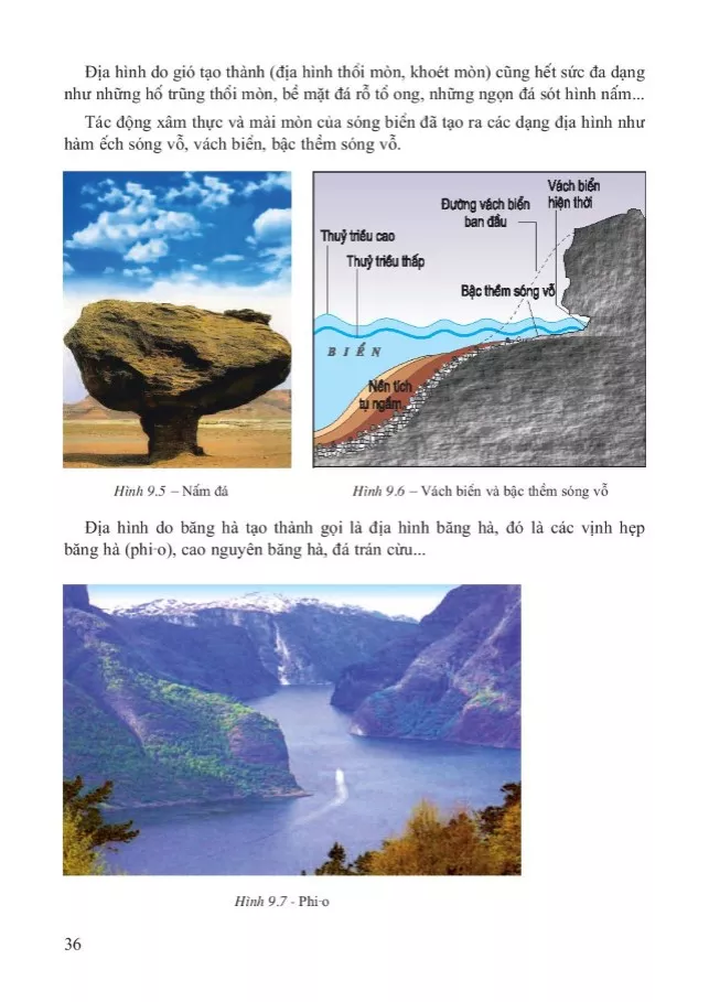Bài 9. Tác động của ngoại lực đến địa hình bề mặt Trái Đất (tiếp theo)