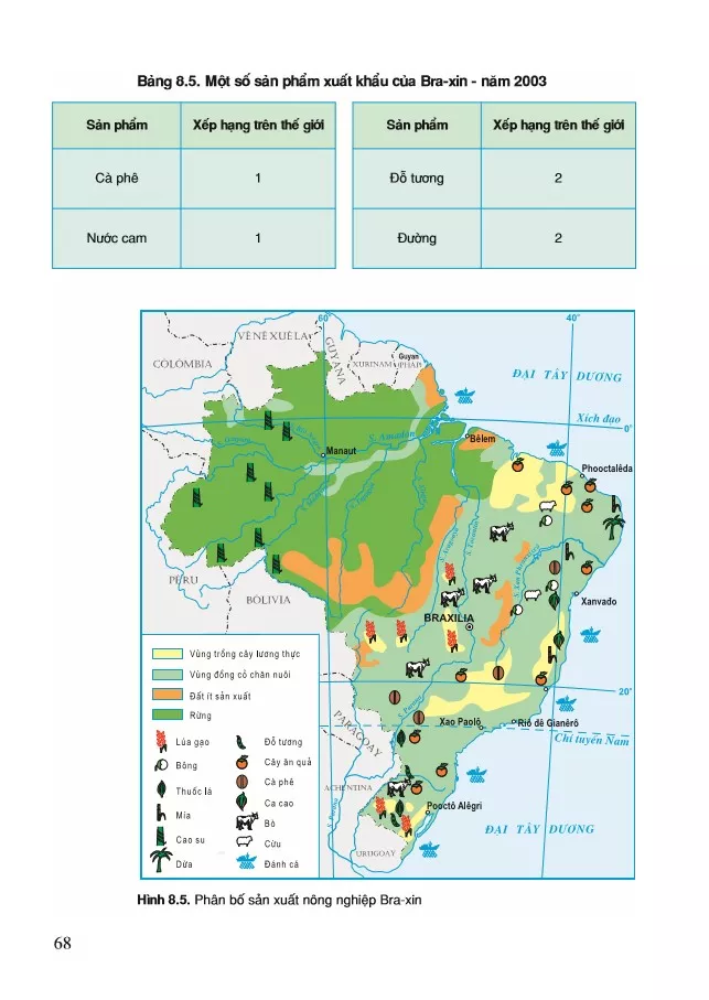 Tiết 2. Thực hành: Tìm hiểu tình hình phát triển nông nghiệp và đời sống của dân cư nông thôn Bra-xin