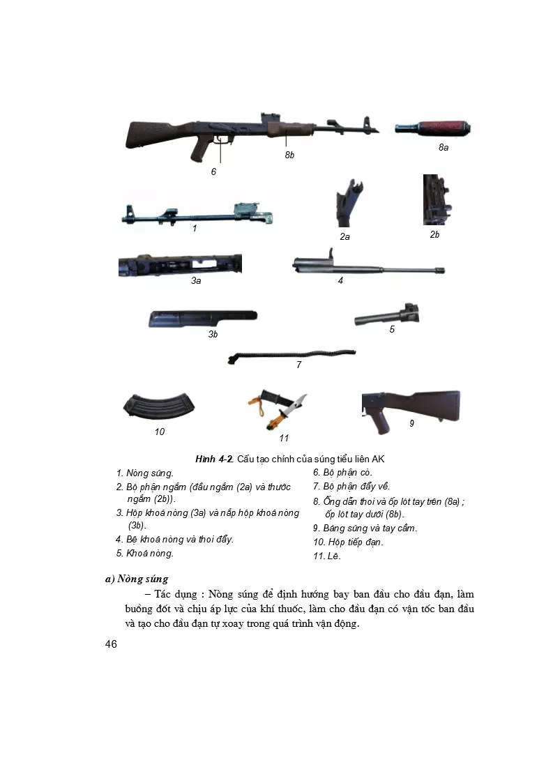 Bài 4. Giới thiệu súng tiểu liên AK và súng trường CKC 