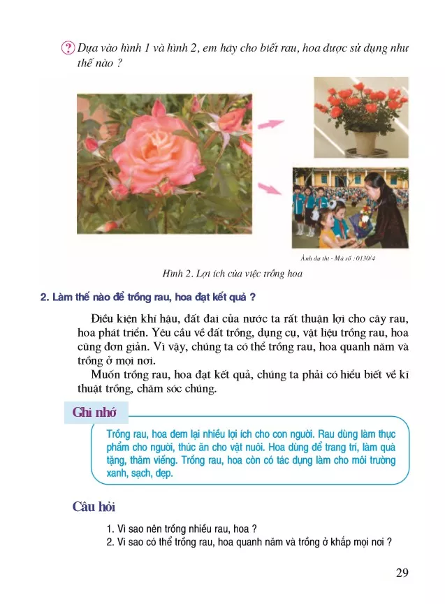 Bài 9. Lợi ích của việc trồng rau, hoa 