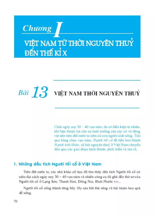 Bài 13. Việt Nam thời nguyên thuỷ 