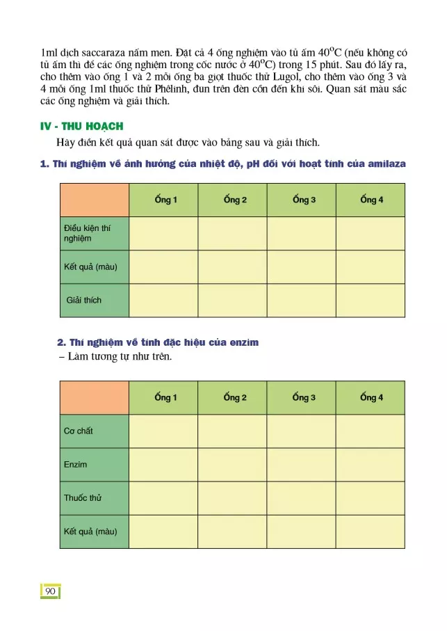 Bài 27. Thực hành: Một số thí nghiệm về enzim