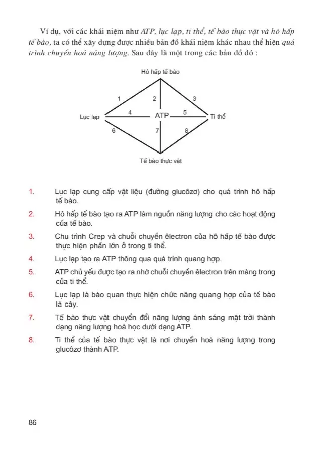 Bài 21. Ôn tập phần sinh học tế bào