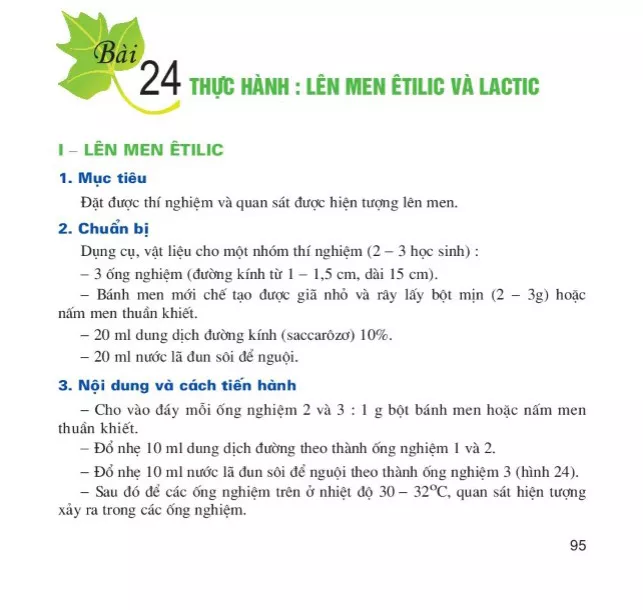 Bài 24. Thực hành : Lên men etilic và lactic