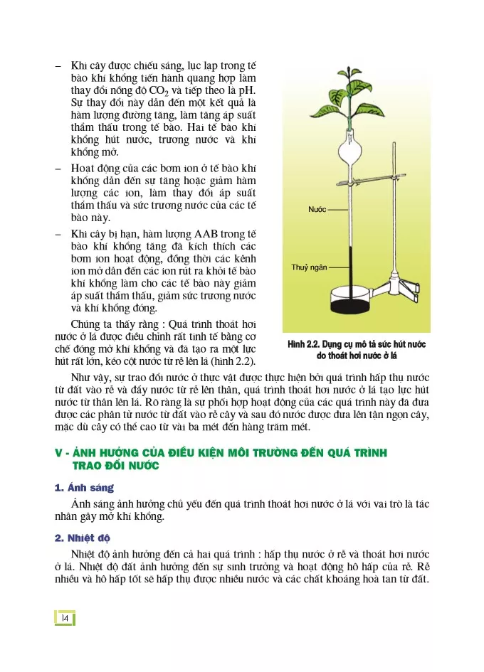 Bài 2: Trao đổi nước ở thực vật (tiếp theo) 