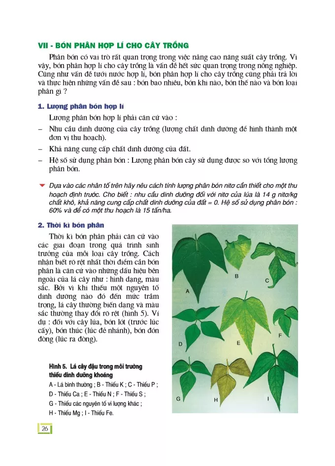 Bài 5: Trao đổi khoáng và nitơ ở thực vật (tiếp theo) 
