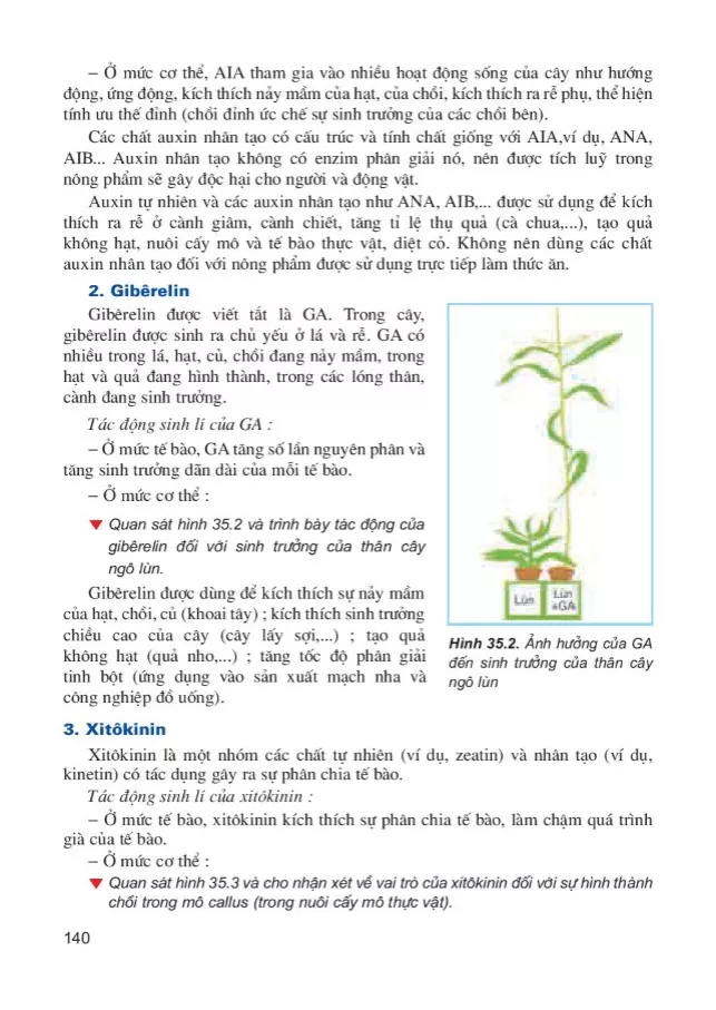 Bài 35. Hoocmôn thực vật