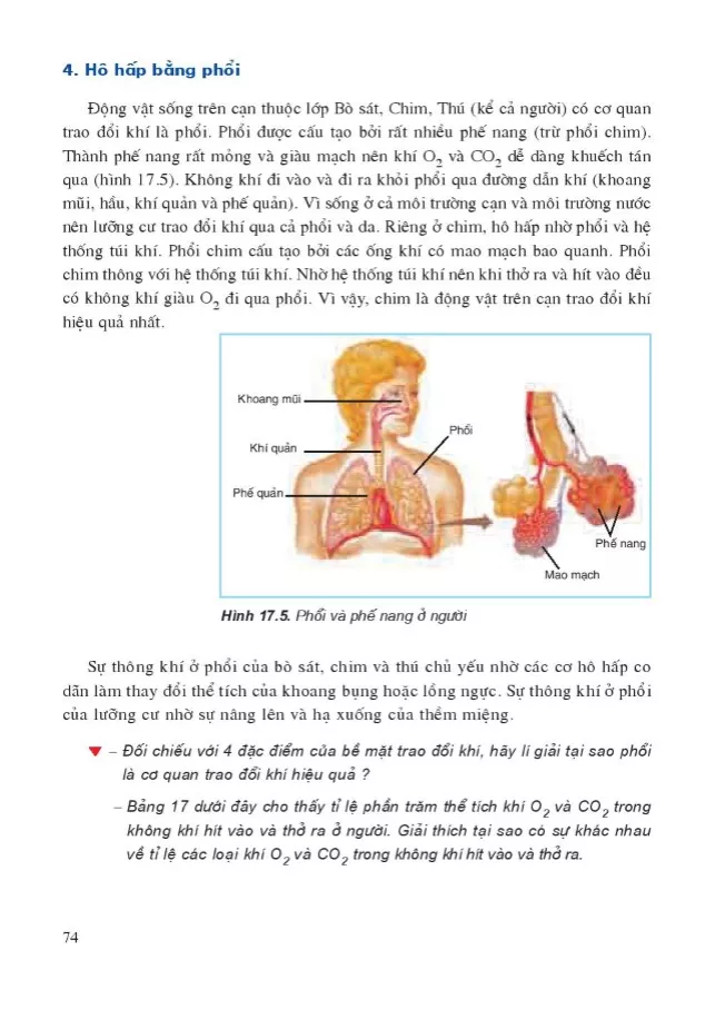 Bài 17. Hô hấp ở động vật