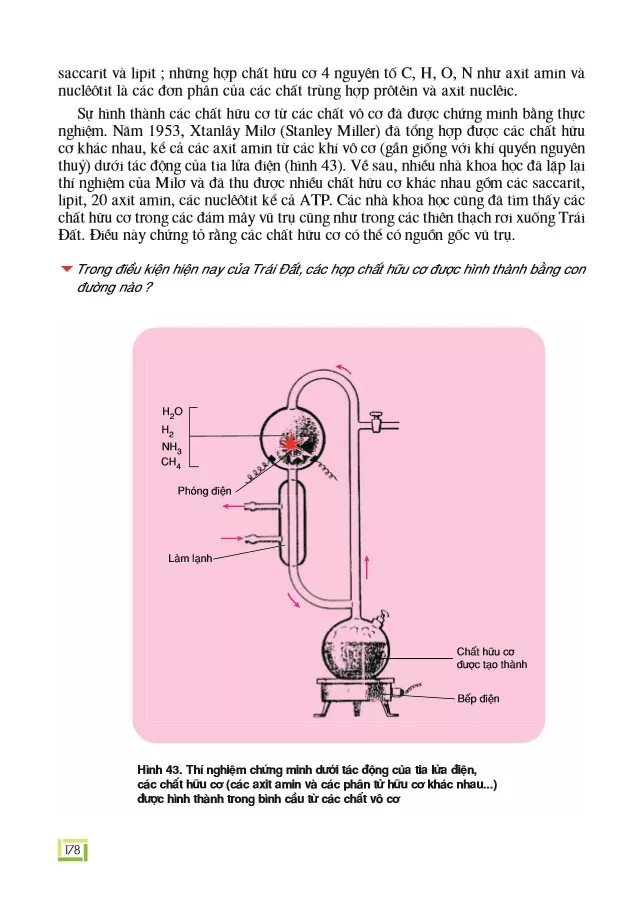 Bài 43. Sự phát sinh sự sống trên Trái Đất