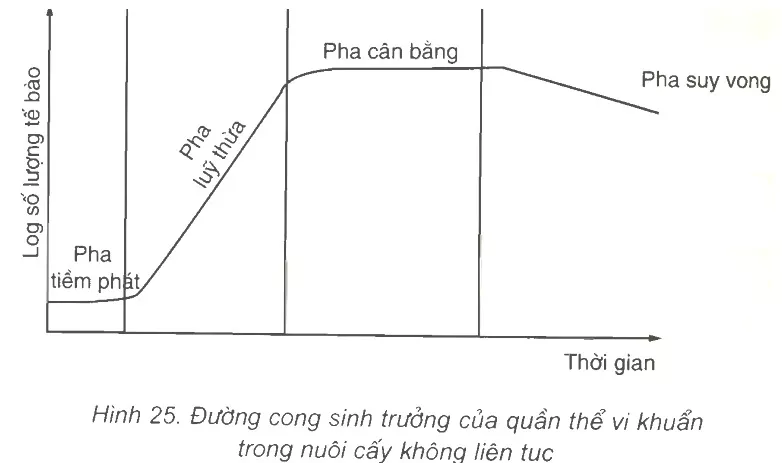 Bài 25: Sinh trưởng của vi sinh vật Trac Nghiem Sinh Hoc 10 Bai 25 26 2837.webp