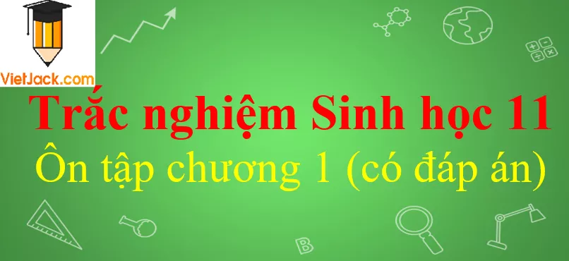 Trắc nghiệm Sinh học 11 Ôn tập chương 1 có đáp án Trac Nghiem Sinh Hoc 11 On Tap Chuong 1 Vietjack