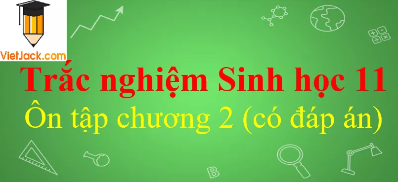 Trắc nghiệm Sinh học 11 Ôn tập chương 2 có đáp án Trac Nghiem Sinh Hoc 11 On Tap Chuong 2 Vietjack