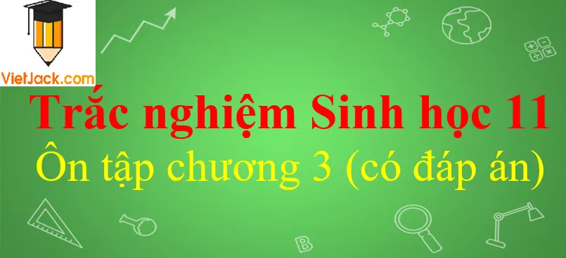 Trắc nghiệm Sinh học 11 Ôn tập chương 3 có đáp án Trac Nghiem Sinh Hoc 11 On Tap Chuong 3 Vietjack
