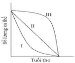 Trắc nghiệm Sinh học 12 Bài 1 (có đáp án): Gen, mã di truyền và quá trình nhân đôi ADN Bai 38 Cac Dac Trung Co Ban Cua Quan The Sinh Vat Tiep Theo 2 1