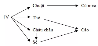 Trắc nghiệm Sinh học 12 Bài 1 (có đáp án): Gen, mã di truyền và quá trình nhân đôi ADN Bai 43 Trao Doi Vat Chat Trong He Sinh Thai 2 1
