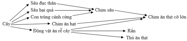 Trắc nghiệm Sinh học 12 Bài 1 (có đáp án): Gen, mã di truyền và quá trình nhân đôi ADN Bai 43 Trao Doi Vat Chat Trong He Sinh Thai 2 5
