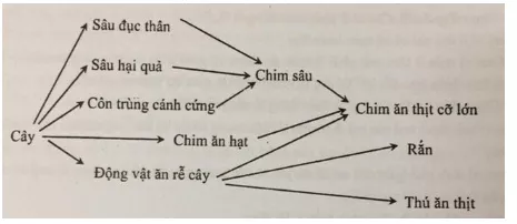 Trắc nghiệm Sinh học 12 Bài 1 (có đáp án): Gen, mã di truyền và quá trình nhân đôi ADN Bai 43 Trao Doi Vat Chat Trong He Sinh Thai 3 6