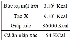 Trắc nghiệm Sinh học 12 Bài 1 (có đáp án): Gen, mã di truyền và quá trình nhân đôi ADN Bai 47 On Tap Phan Tien Hoa Va Sinh Thai Hoc 2 2