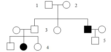 DI TRUYỀN Y HỌC Trac Nghiem Sinh Hoc 12 Bai 21 3536.webp