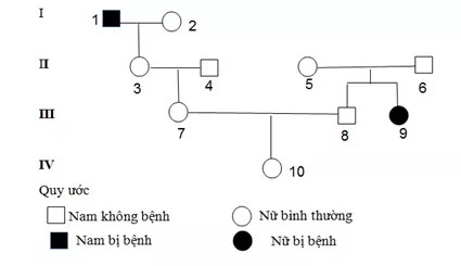 DI TRUYỀN Y HỌC Trac Nghiem Sinh Hoc 12 Bai 21 3540.webp