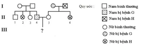 DI TRUYỀN Y HỌC Trac Nghiem Sinh Hoc 12 Bai 21 3543.webp