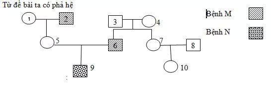 DI TRUYỀN Y HỌC Trac Nghiem Sinh Hoc 12 Bai 21 3551.webp