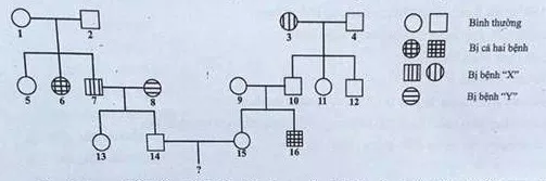 DI TRUYỀN Y HỌC Trac Nghiem Sinh Hoc 12 Bai 21 3553.webp