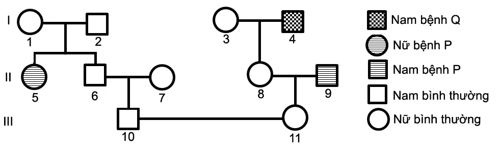 DI TRUYỀN Y HỌC Trac Nghiem Sinh Hoc 12 Bai 21 3555.webp