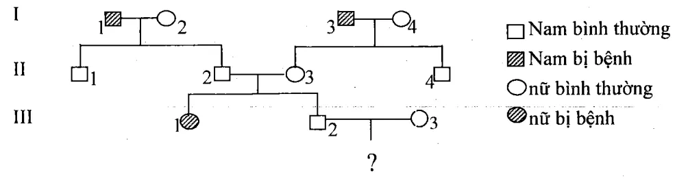 Cách giải bài tập xác suất trong di truyền người – di truyền phả hệ Cach Giai Bai Tap Xac Suat Trong Di Truyen Pha He 15817