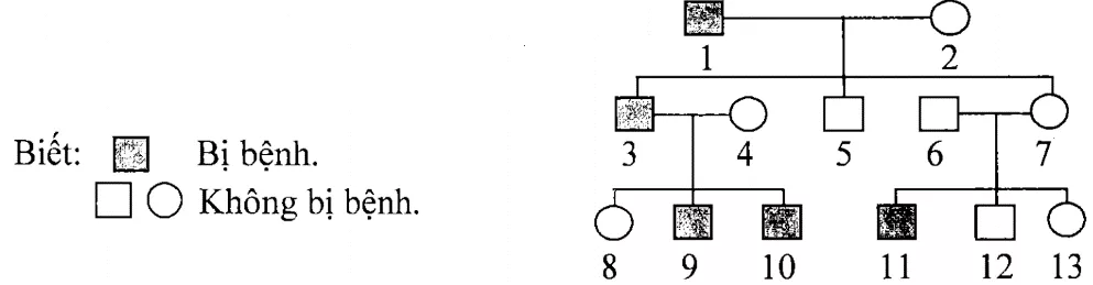 Cách giải bài tập xác suất trong di truyền người – di truyền phả hệ Cach Giai Bai Tap Xac Suat Trong Di Truyen Pha He 15818
