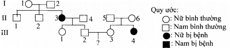 Cách giải bài tập xác suất trong di truyền người – di truyền phả hệ Cach Giai Bai Tap Xac Suat Trong Di Truyen Pha He 15819
