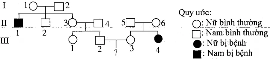 Cách giải bài tập xác suất trong di truyền người – di truyền phả hệ Cach Giai Bai Tap Xac Suat Trong Di Truyen Pha He 15820