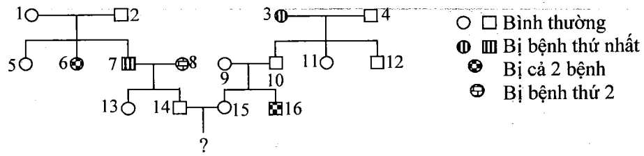 Cách giải bài tập xác suất trong di truyền người – di truyền phả hệ Cach Giai Bai Tap Xac Suat Trong Di Truyen Pha He 15821
