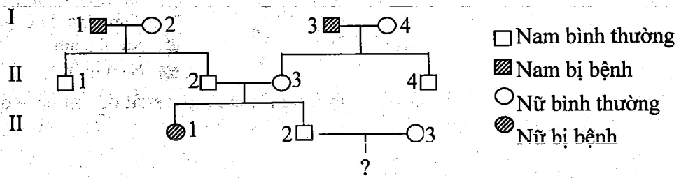 Cách giải bài tập xác suất trong di truyền người – di truyền phả hệ Cach Giai Bai Tap Xac Suat Trong Di Truyen Pha He 15822