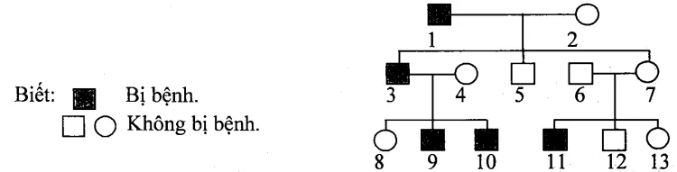 Cách giải bài tập xác suất trong di truyền người – di truyền phả hệ Cach Giai Bai Tap Xac Suat Trong Di Truyen Pha He 15824