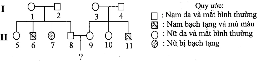 Cách giải bài tập xác suất trong di truyền người – di truyền phả hệ Cach Giai Bai Tap Xac Suat Trong Di Truyen Pha He 15825