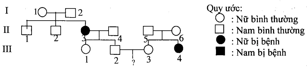 Cách giải bài tập xác suất trong di truyền người – di truyền phả hệ Cach Giai Bai Tap Xac Suat Trong Di Truyen Pha He 15826