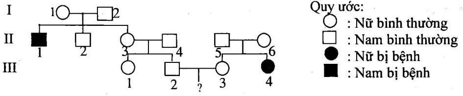 Cách giải bài tập xác suất trong di truyền người – di truyền phả hệ Cach Giai Bai Tap Xac Suat Trong Di Truyen Pha He 15827
