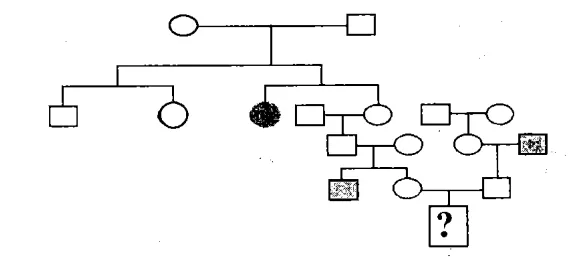 Cách giải bài tập xác suất trong di truyền người – di truyền phả hệ Cach Giai Bai Tap Xac Suat Trong Di Truyen Pha He 15832