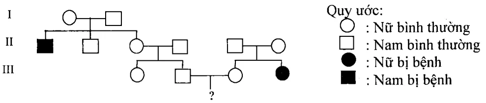 Cách giải bài tập xác suất trong di truyền người – di truyền phả hệ Cach Giai Bai Tap Xac Suat Trong Di Truyen Pha He 15833