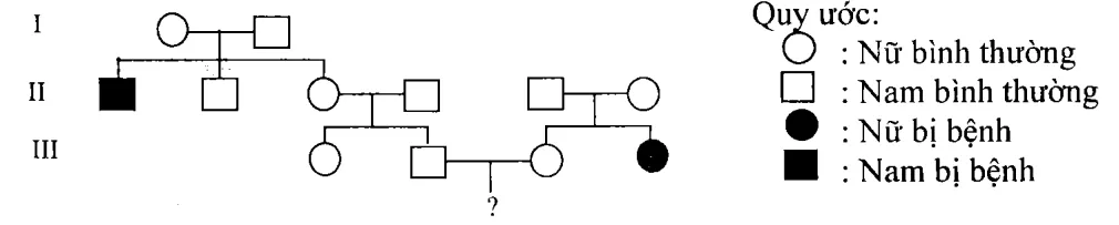 Cách giải bài tập xác suất trong di truyền người – di truyền phả hệ Cach Giai Bai Tap Xac Suat Trong Di Truyen Pha He 15834