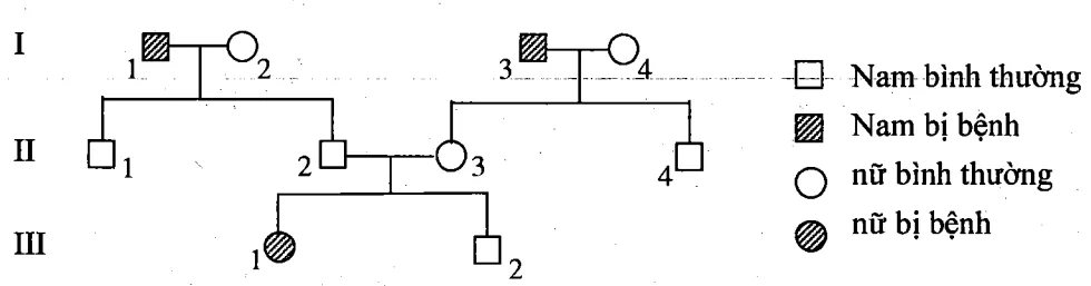 Cách giải bài tập xác suất trong di truyền người – di truyền phả hệ Cach Giai Bai Tap Xac Suat Trong Di Truyen Pha He 15835