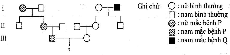 Cách giải bài tập xác suất trong di truyền người – di truyền phả hệ Cach Giai Bai Tap Xac Suat Trong Di Truyen Pha He 15836