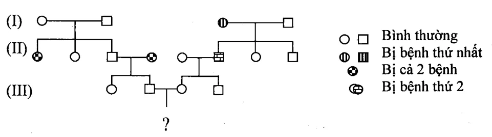 Cách giải bài tập xác suất trong di truyền người – di truyền phả hệ Cach Giai Bai Tap Xac Suat Trong Di Truyen Pha He 15837