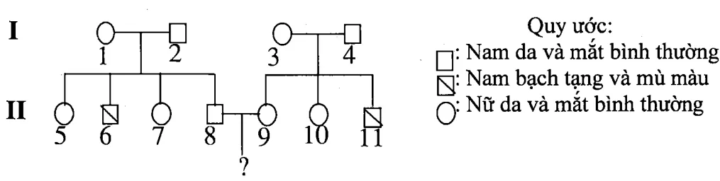 Cách giải bài tập xác suất trong di truyền người – di truyền phả hệ Cach Giai Bai Tap Xac Suat Trong Di Truyen Pha He 15839