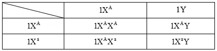 Cách giải bài tập xác suất trong di truyền người – di truyền phả hệ Cach Giai Bai Tap Xac Suat Trong Di Truyen Pha He 15848