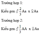 Cách giải bài tập xác suất trong di truyền người – di truyền tư vấn Cach Giai Bai Tap Xac Suat Trong Di Truyen Tu Van 15664