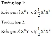 Cách giải bài tập xác suất trong di truyền người – di truyền tư vấn Cach Giai Bai Tap Xac Suat Trong Di Truyen Tu Van 15788