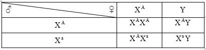Cách giải bài tập xác suất trong quy luật di truyền – di truyền liên kết giới tính và phụ thuộc giới tính Cach Giai Bai Tap Xac Suat Trong Quy Luat Di Truyen Lien Ket Gioi Tinh 14737
